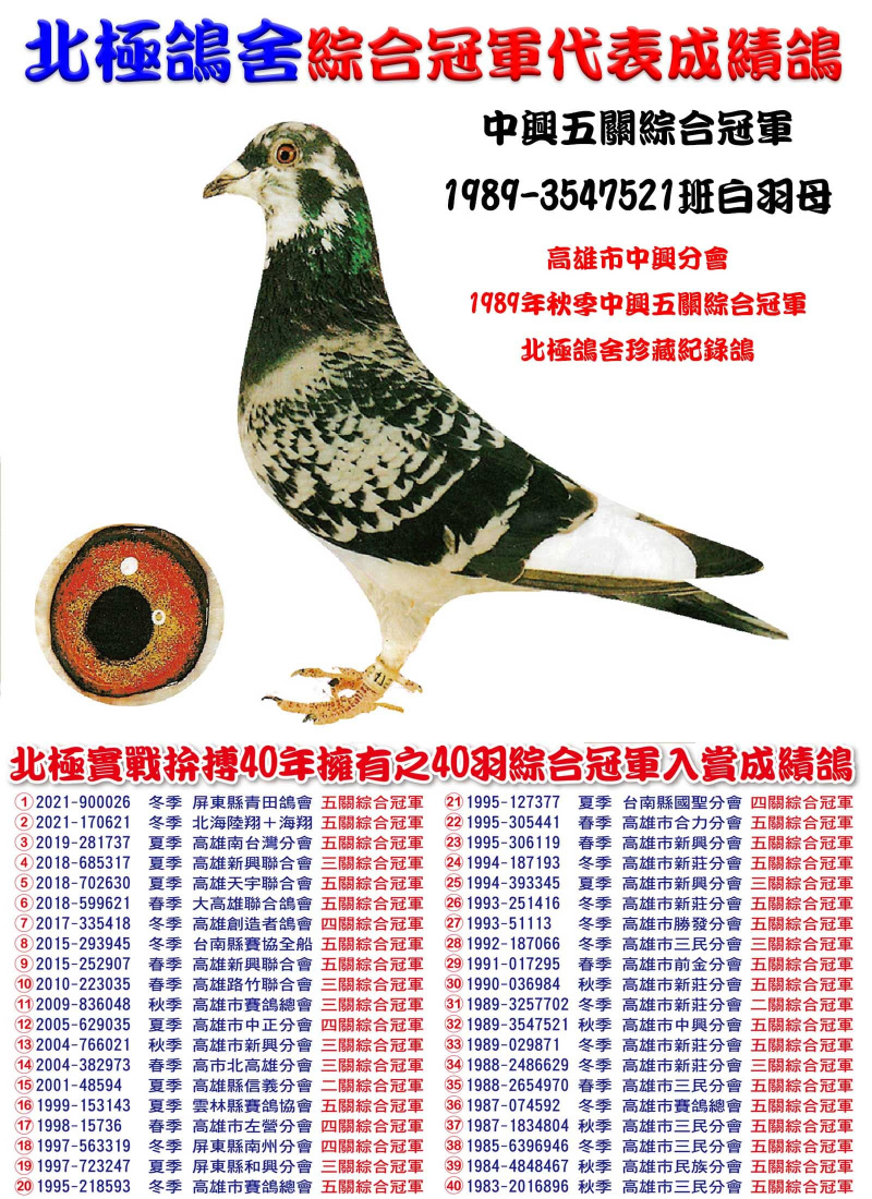 中興五關綜合冠軍 1989-3547521斑白羽母