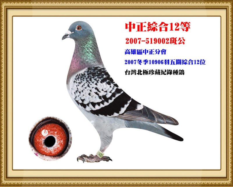 中正綜合12等 2007-519002斑公