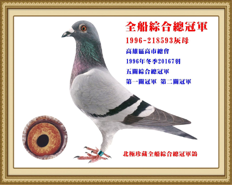 全船綜合總冠軍 1996-218593灰母