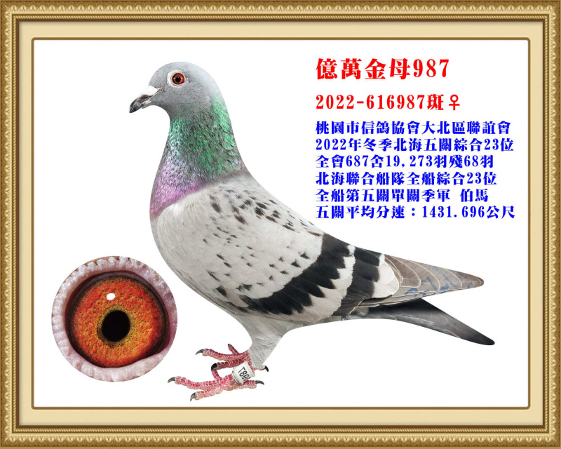 億萬金母987 2022-616987班母