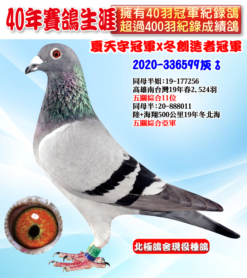 夏天宇冠軍x冬創造者冠軍 2020-336599灰♂