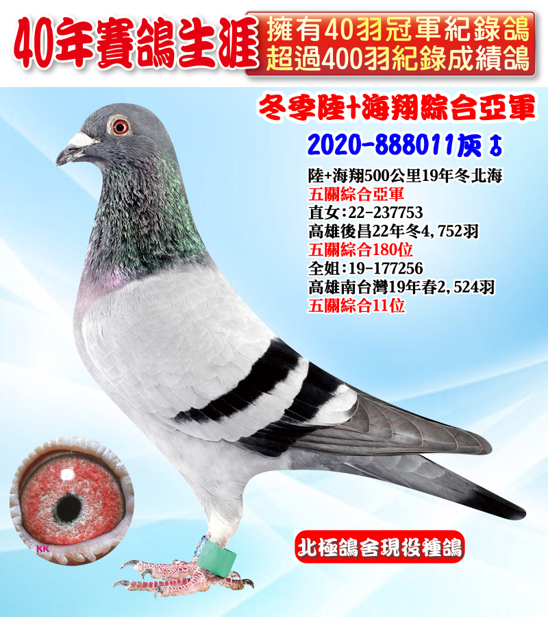 冬季陸+海翔綜合亞軍 2020-888011灰♂