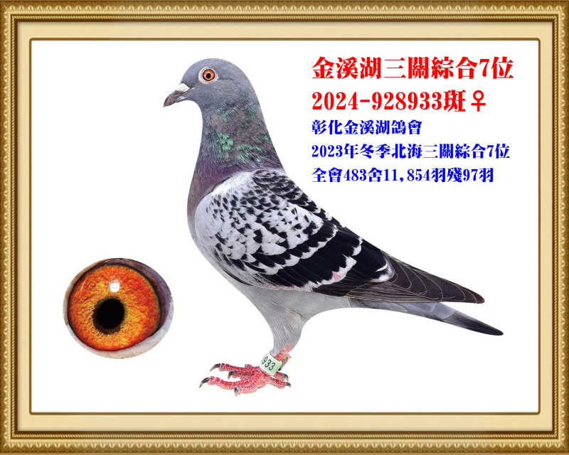 金溪湖三關綜合7位 2024-928933斑母
