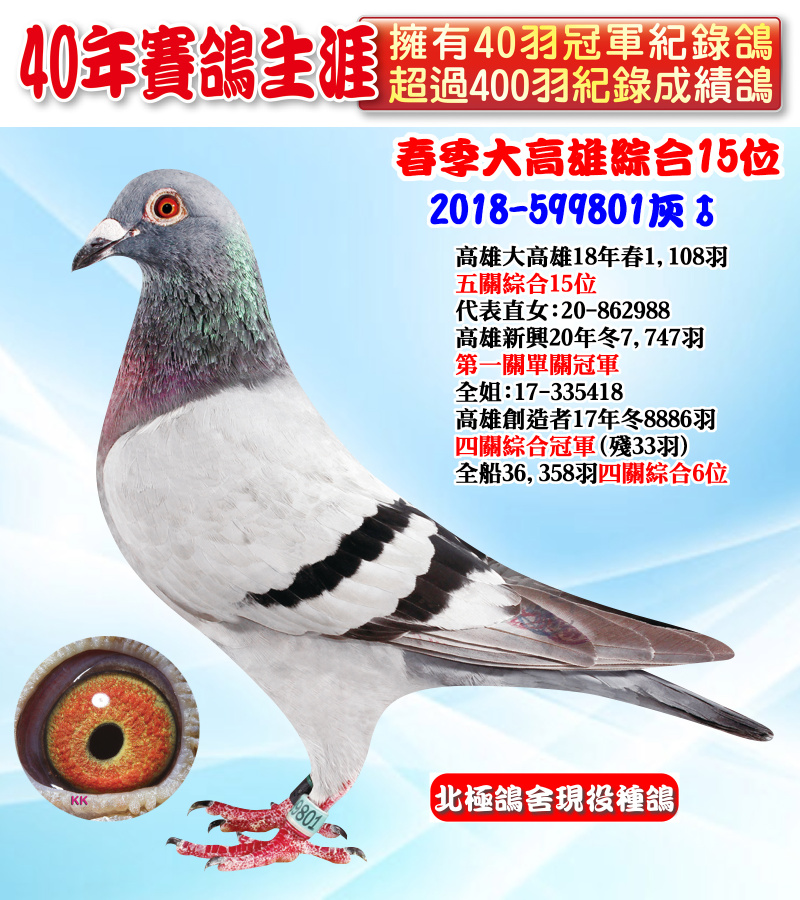 春季大高雄綜合15位 2018-599801灰♂