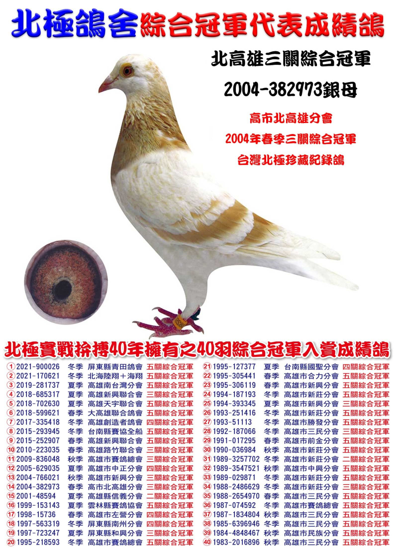 北高雄三關綜合冠軍 2004-382973銀母