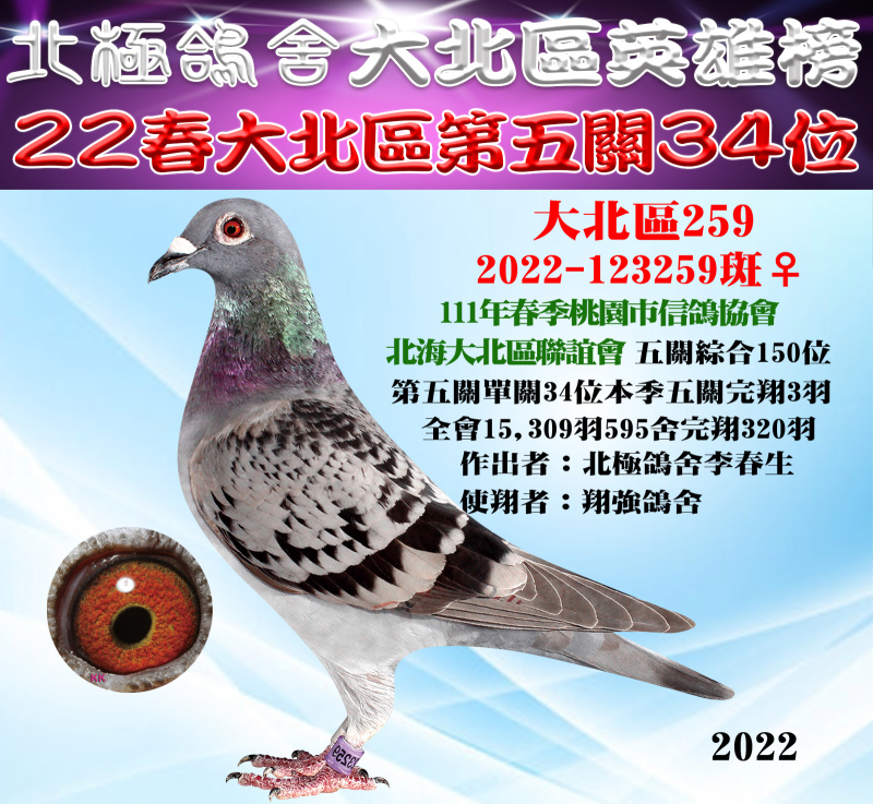 大北區英雄榜-22春大北區第五關34位[2022-123259斑♀]