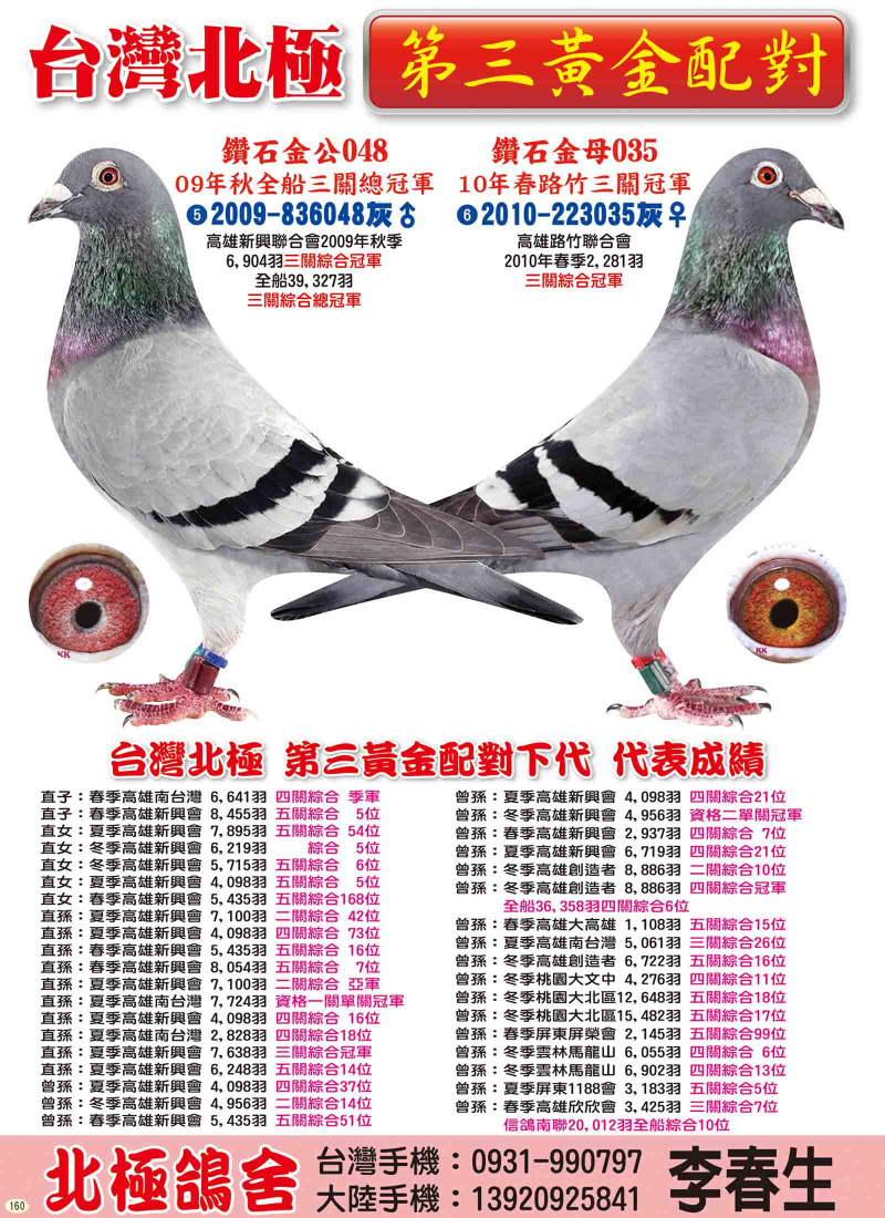 第三黃金配對