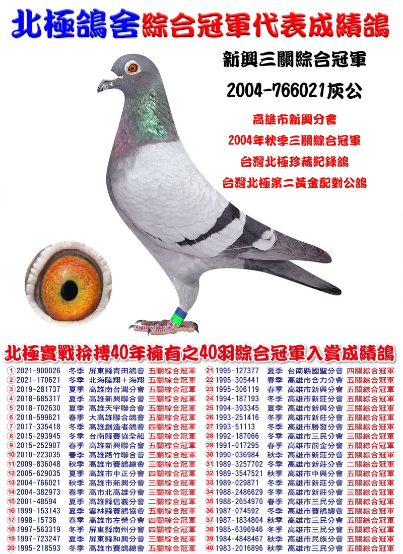 新興三關綜合冠軍 2004-766021灰公