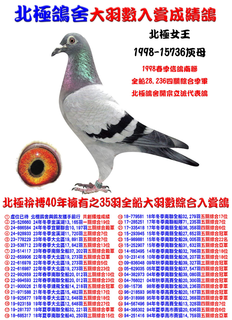 全船28,236四關綜合季軍 1998-15736灰母