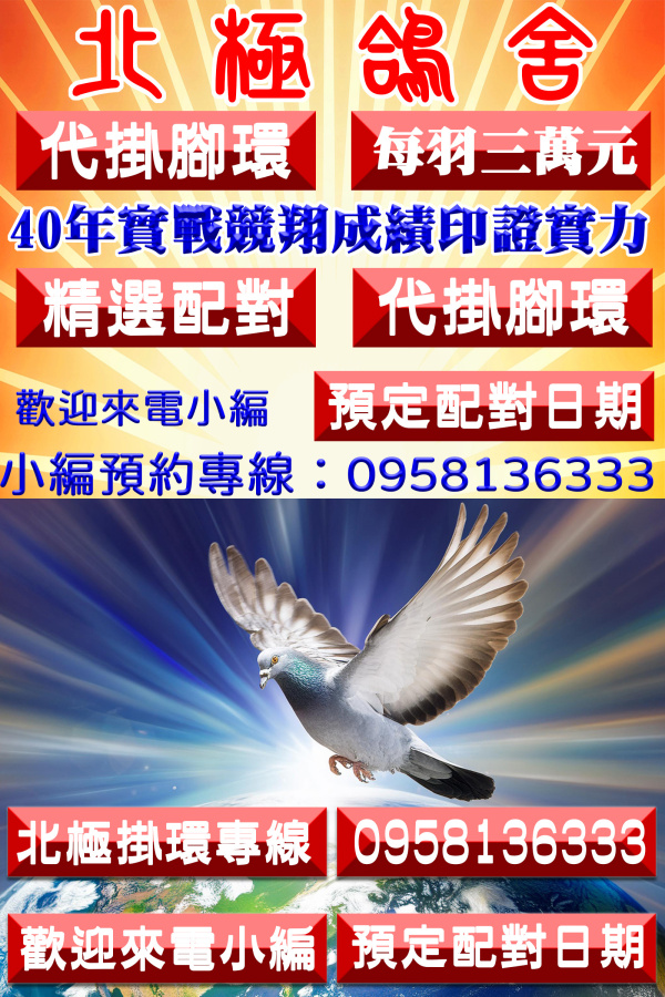 北極鴿舍代掛腳環