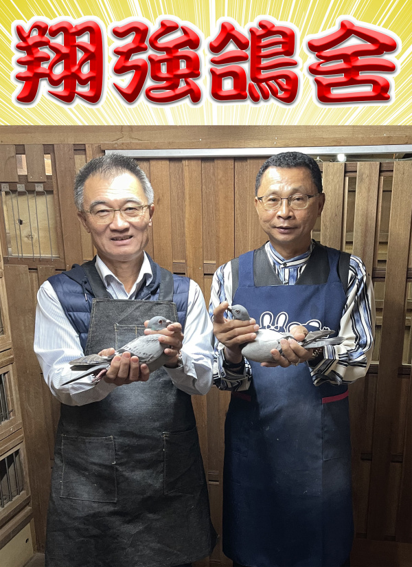 翔強鴿舍