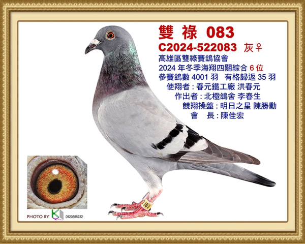 2024年冬季南海雙祿四關綜合6位 2024-522083灰♀