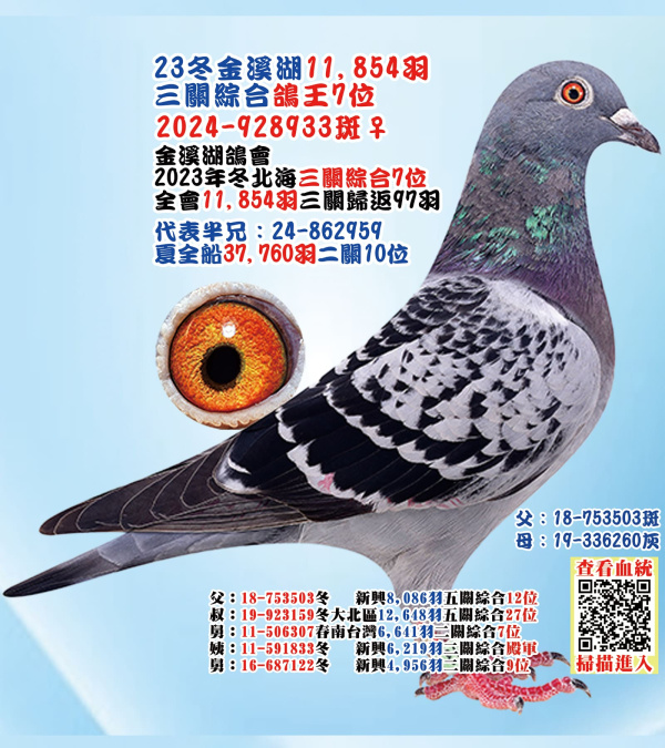 23冬金溪湖11,854羽三關綜合鴿王7位