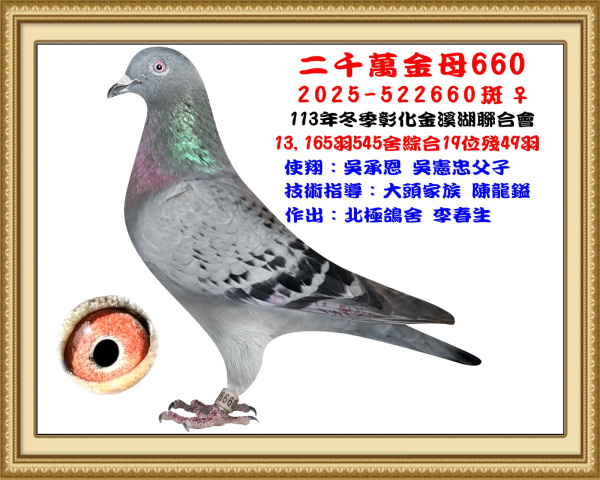 2024年冬季彰化金溪湖13,165羽545舍綜合19位 2025-522660斑♀