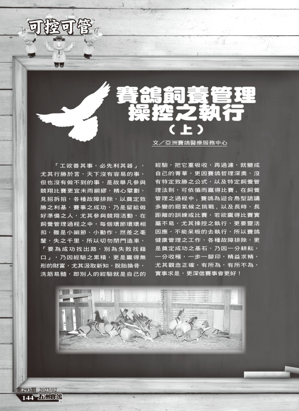 賽鴿飼養管理操控之執行[本網站發佈:五洲賽鴿雜誌之圖文.皆經五洲李社長授權同意使用]