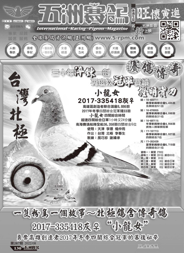 經典銘鴿“小龍女”-五洲賽鴿287期專訪