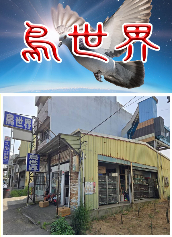 鳥世界鳥園-桃園觀音區大觀路一段29號