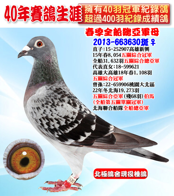 春季全船總亞軍母 2013-663630斑♀
