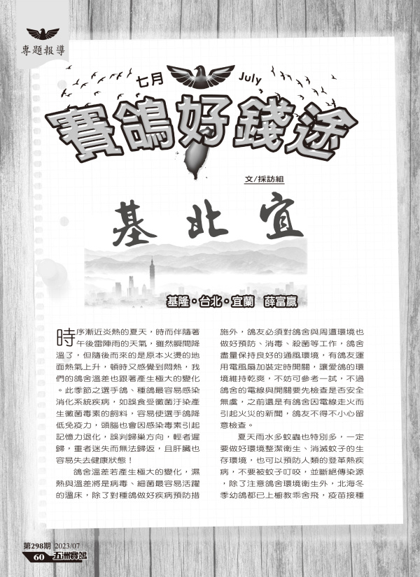 五洲298期-七月賽鴿好錢途[本網站發佈:五洲賽鴿雜誌之圖文.皆經五洲李社長授權同意使用]