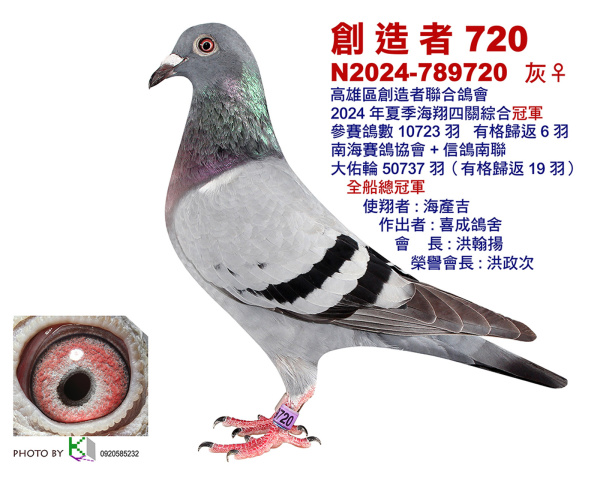 2024年南海夏季高雄區創造者聯合鴿會四關綜合入賞鴿照-出處:Taiwan KK賽鴿網
