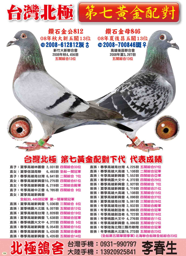 第七黃金配對