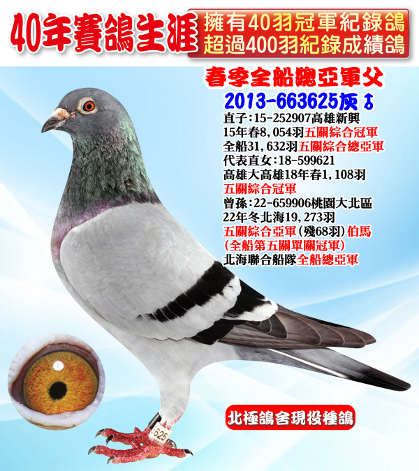 春季全船總亞軍父 2013-663625灰♂