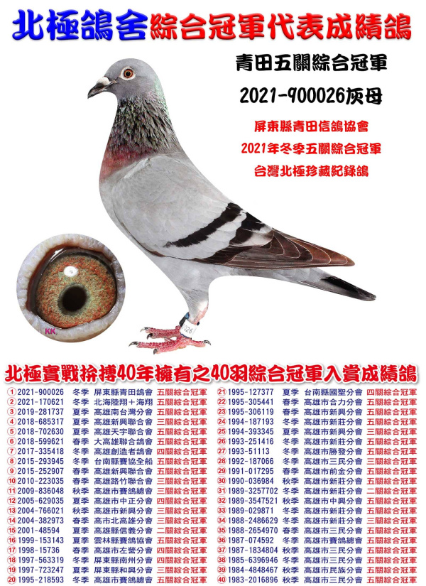 青田五關綜合冠軍 2021-900026灰母
