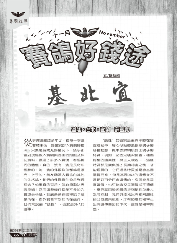 運籌帷幄之中,決勝千里之外[本網站發佈:五洲賽鴿雜誌之圖文.皆經五洲李社長授權同意使用]