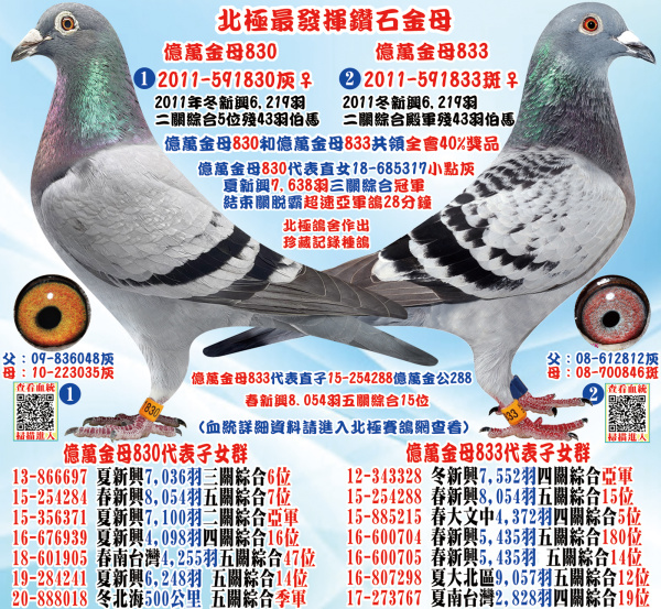 北極最發揮鑽石金母 億萬金母830 億萬金母833