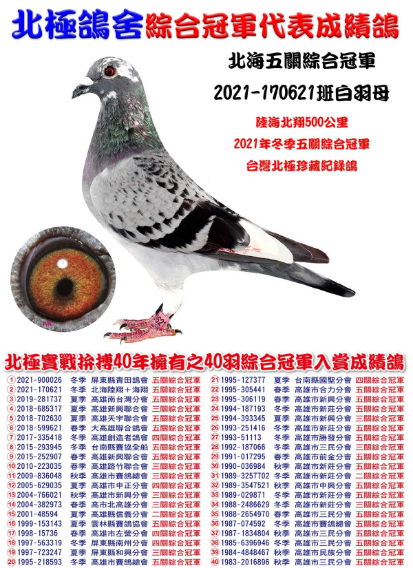 北海五關綜合冠軍 2021-170621斑白羽母