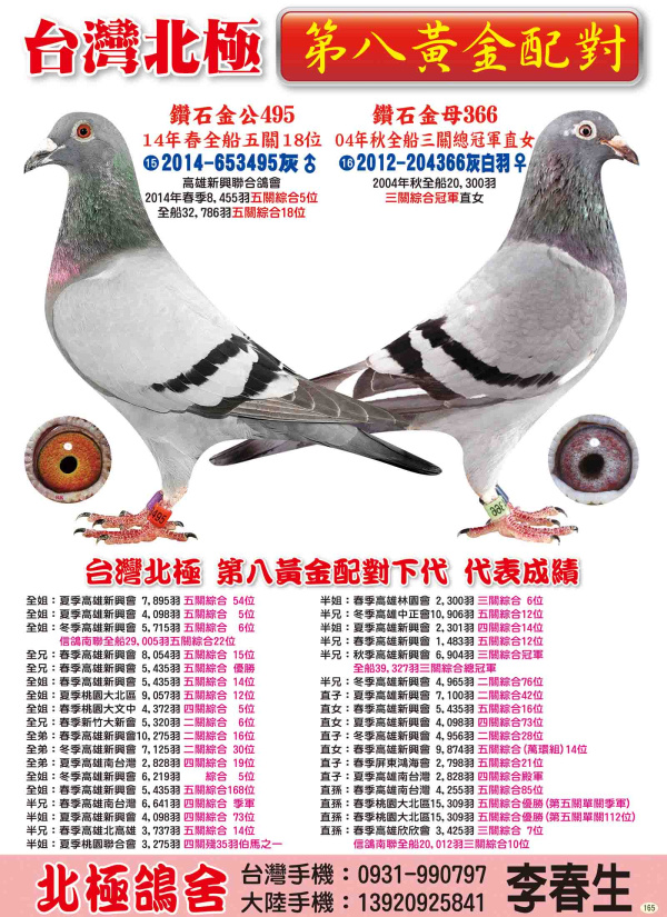 第八黃金配對