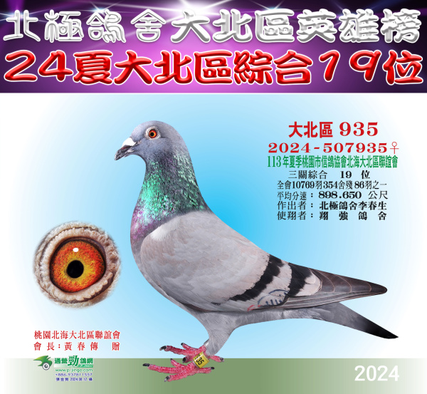 大北區英雄榜-24夏大北區綜合19位[2024-507935灰♀]
