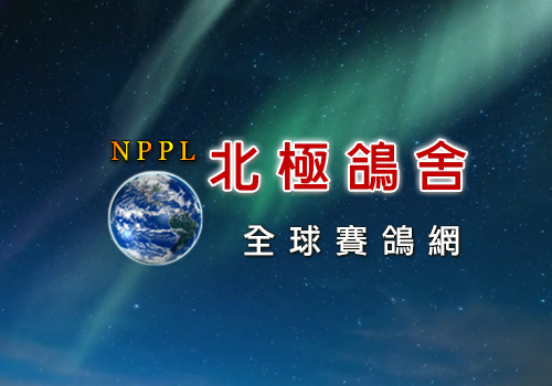 2023北海春季賽後分析[本網站發佈:五洲賽鴿雜誌之圖文.皆經五洲李社長授權同意使用]