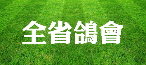 全省鴿會