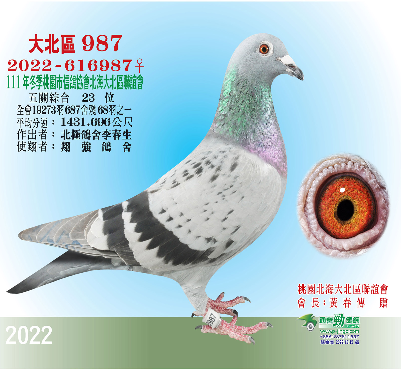 大北區2022-616987
