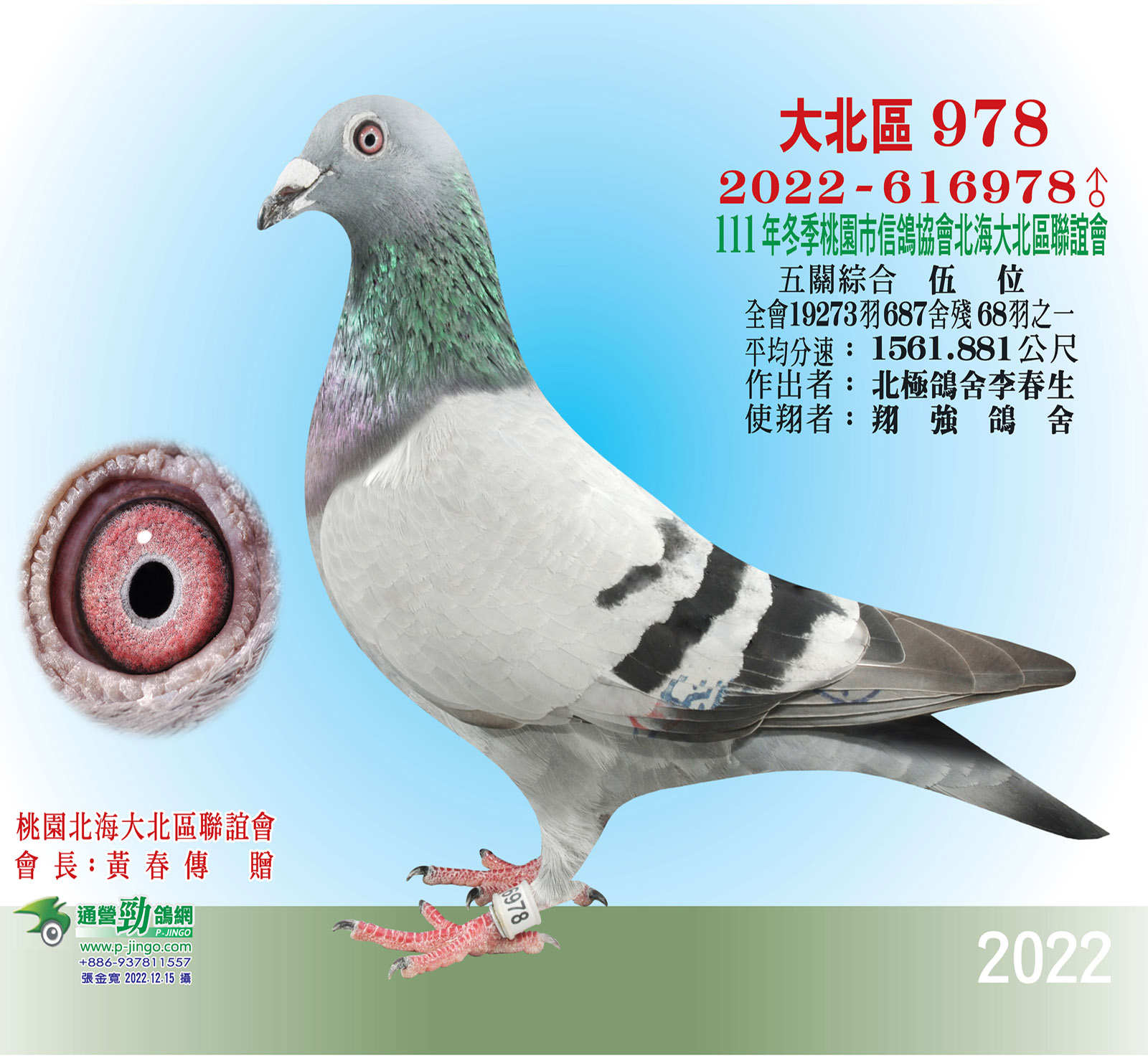 大北區2022-616978