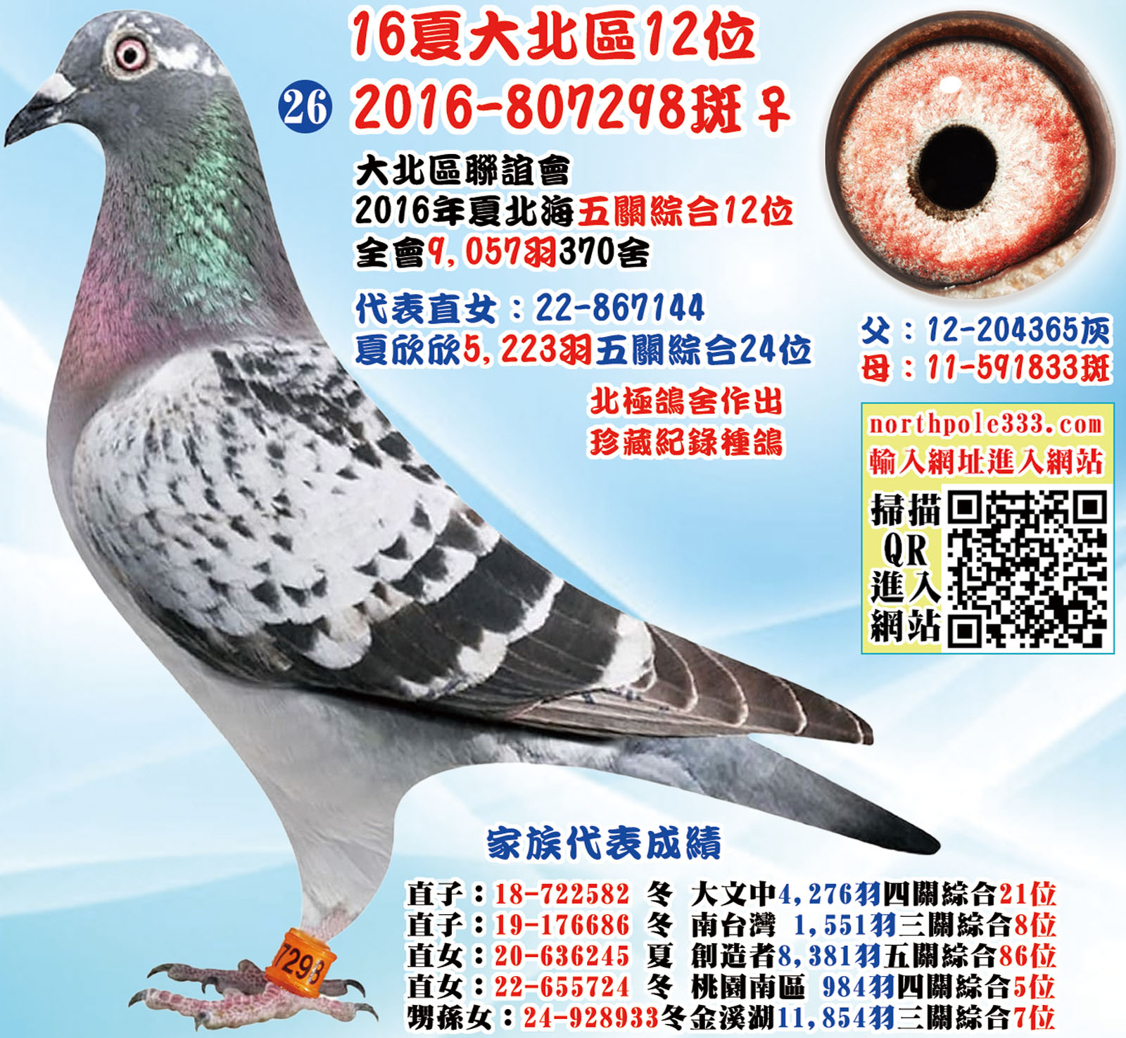 16夏大北區12位 16夏大北區12位