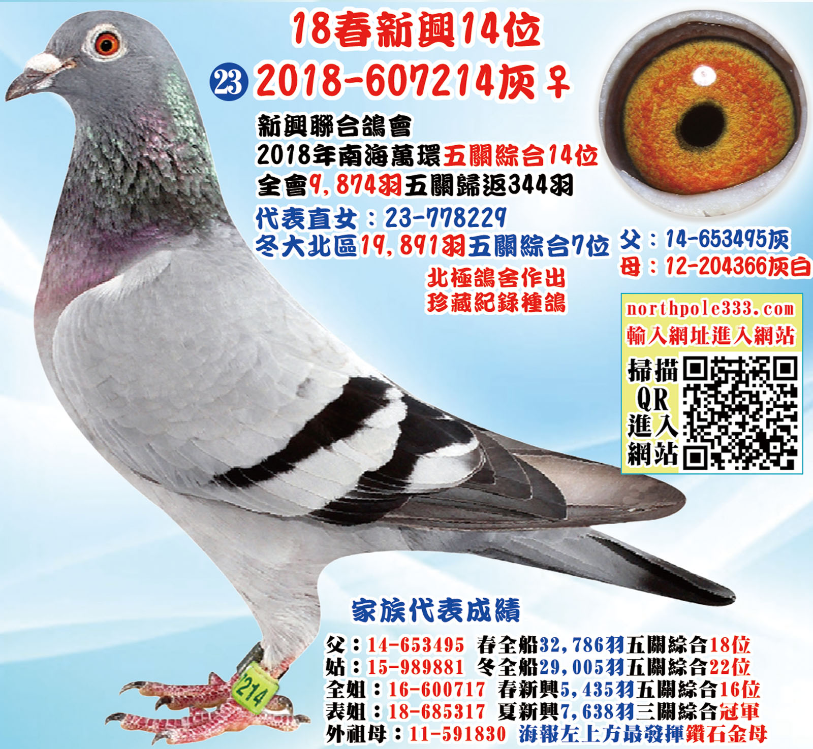 18春新興14位 18春新興14位