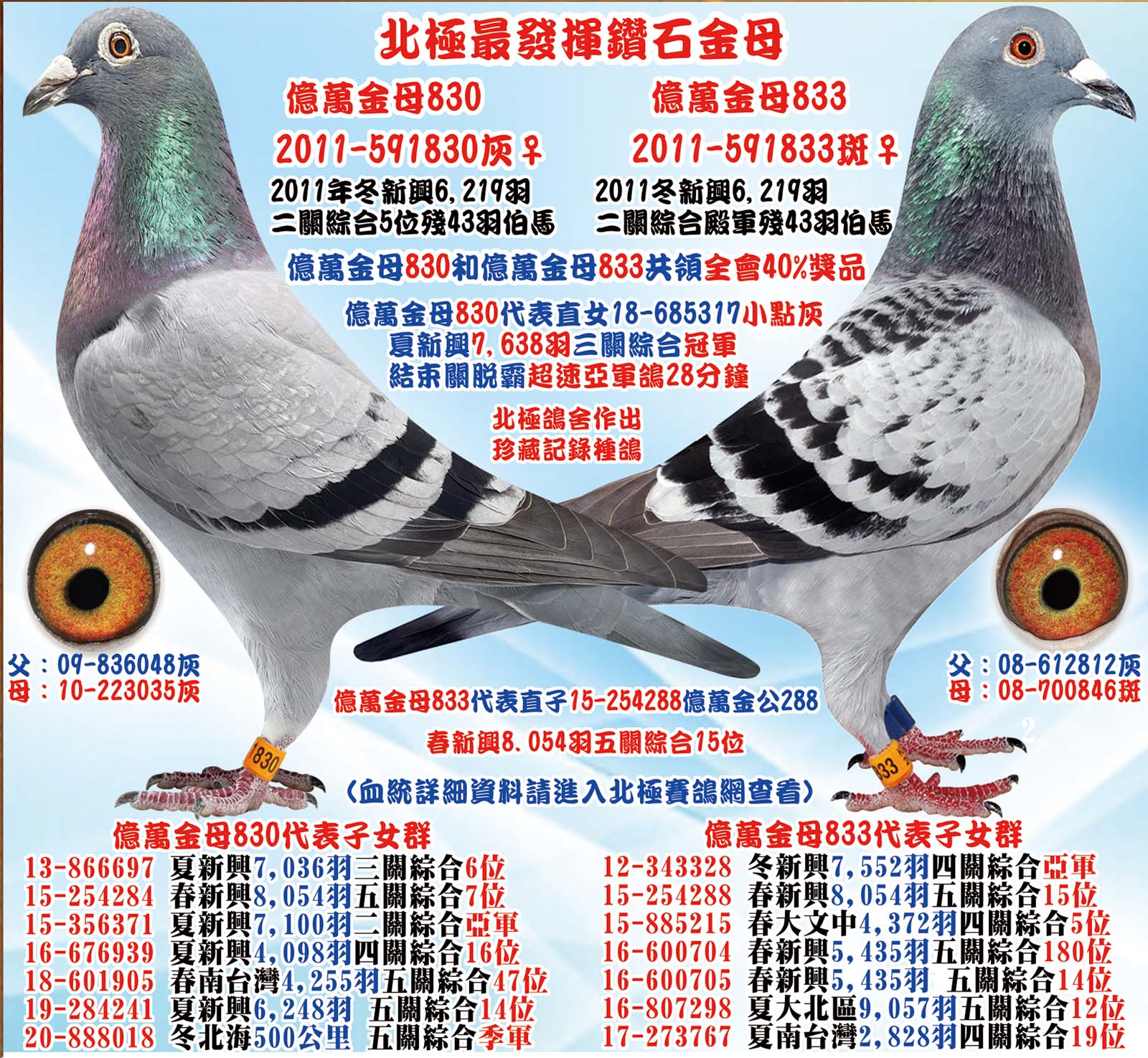 北極最發揮鑽石金母 北極最發揮鑽石金母