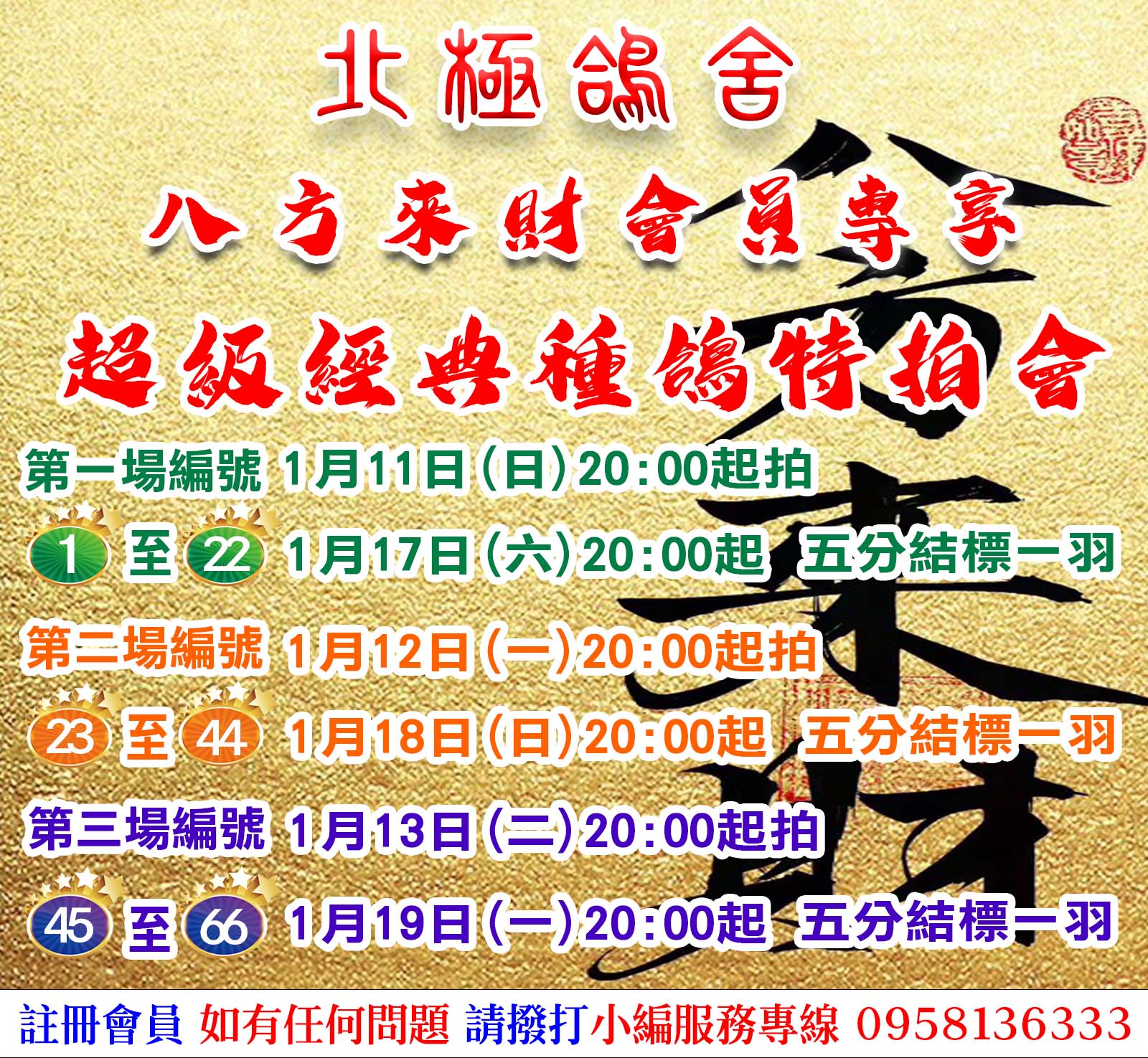 北極鴿舍八方來財會員專享超級經典種鴿特拍會 北極鴿舍八方來財會員專享超級經典種鴿特拍會